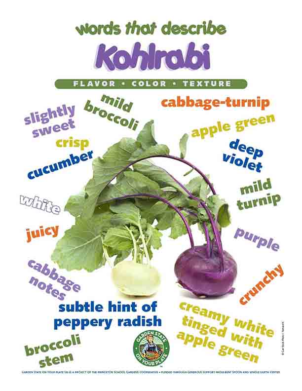 Kohlrabi