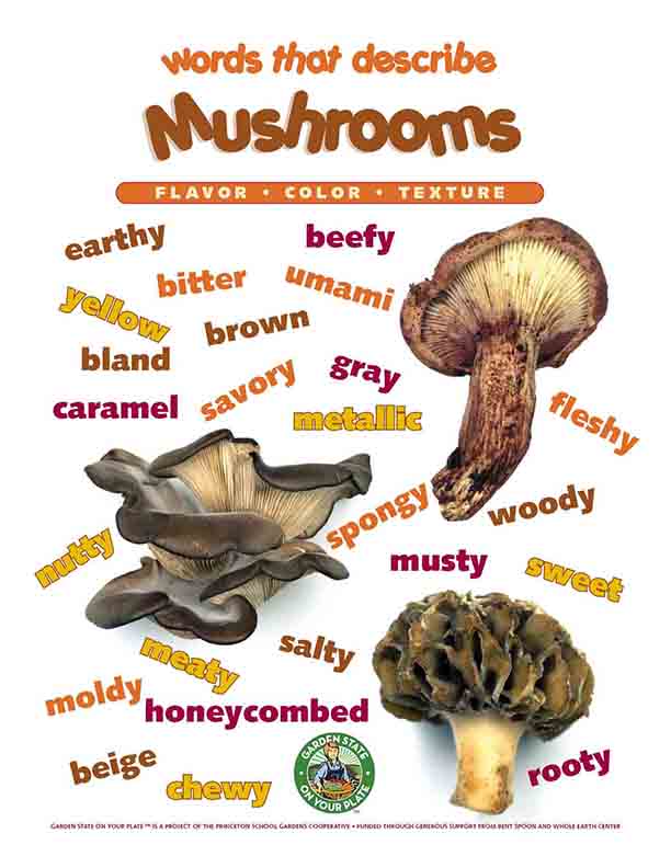 mushroom vocabulary words