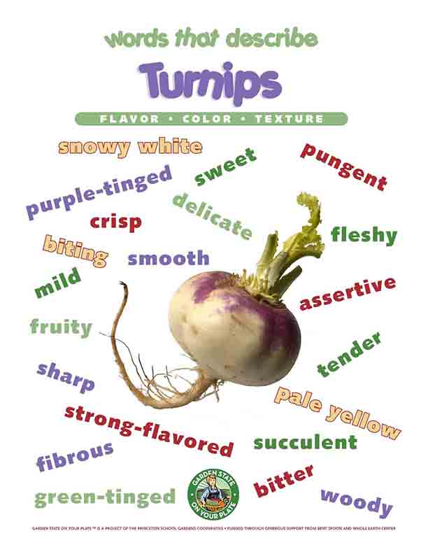 turnips vocabulary words