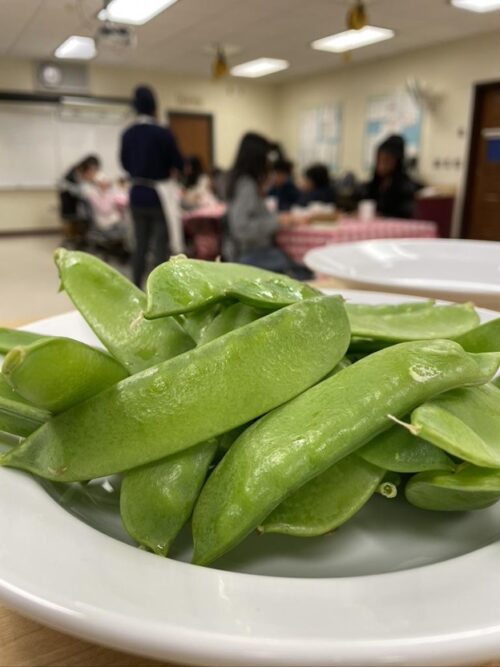 MARCH 14, 2023: SUGAR SNAP AND SNOW PEAS FOR SNACKS