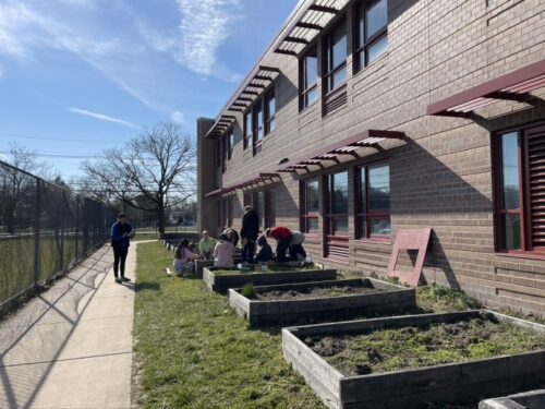 Early spring sky over Princeton Middle School edible gardens