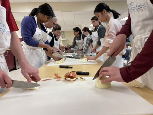 Knife skills and onion chopping in kitchen