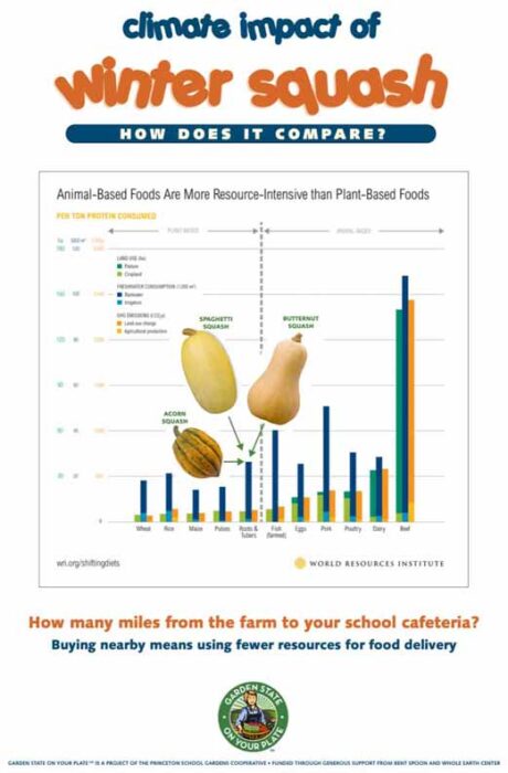climate impact of winter squash