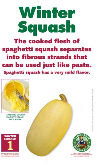 winter squash facts