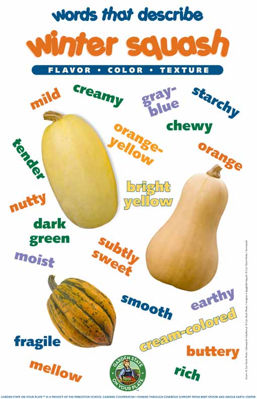 vocal words for winter squash