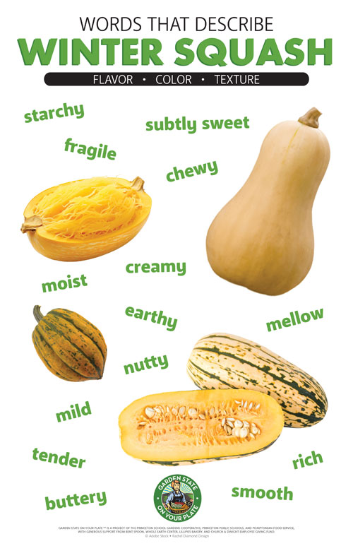 Winter Squash