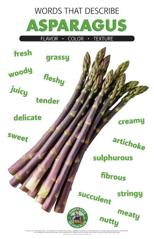 Asparagus