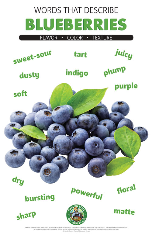 Blueberries